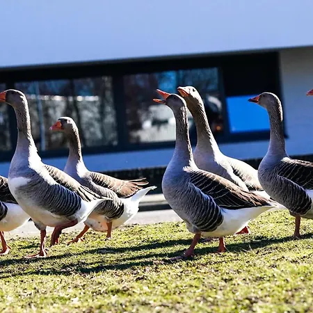 Aparthotel Amrâth Schiphol Badhoevedorp