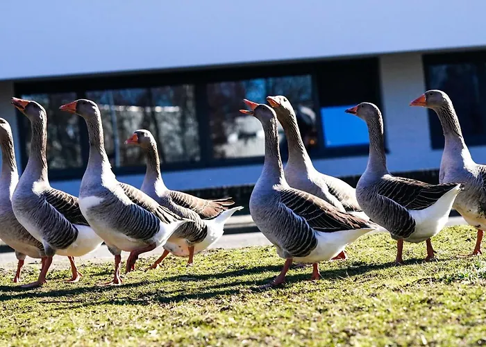 Aparthotel Amrath Schiphol Badhoevedorp